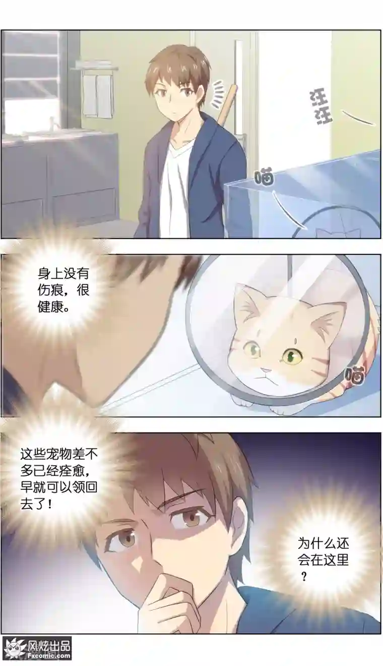 宠物天王第22话2 战争与合作