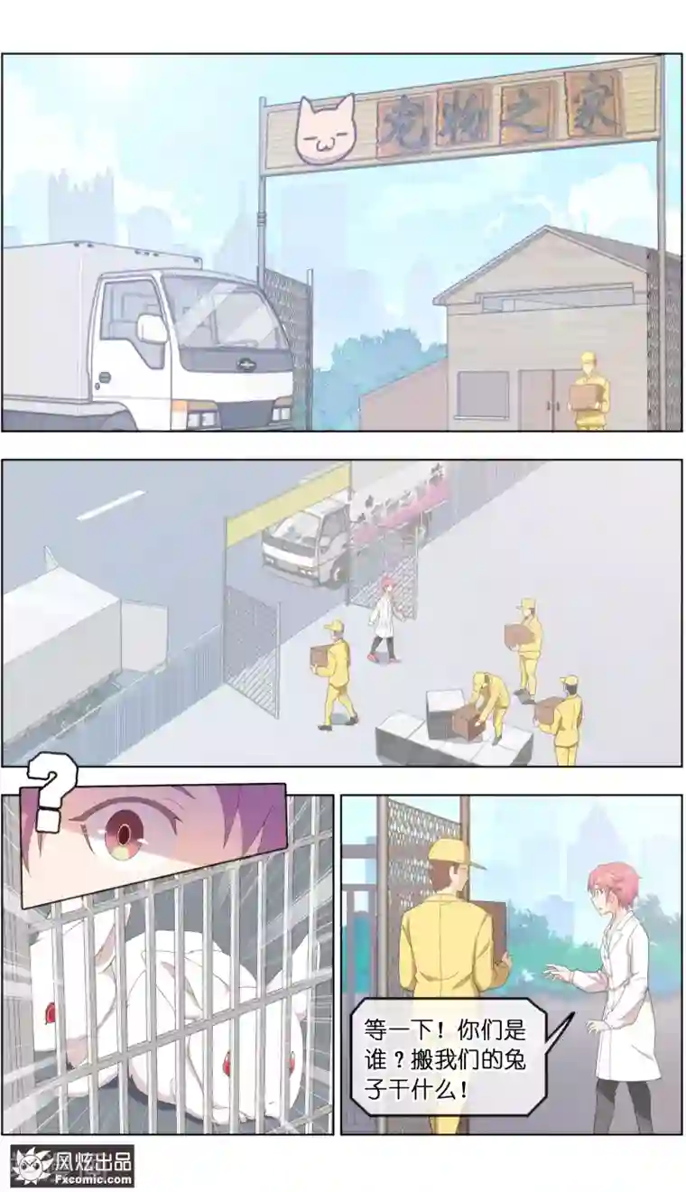 宠物天王第22话3 战争与合作