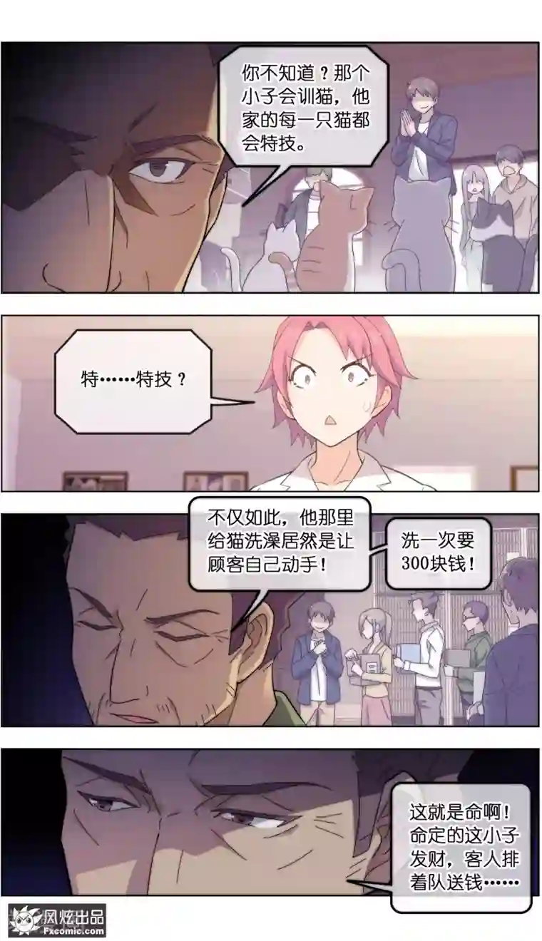 宠物天王第22话3 战争与合作