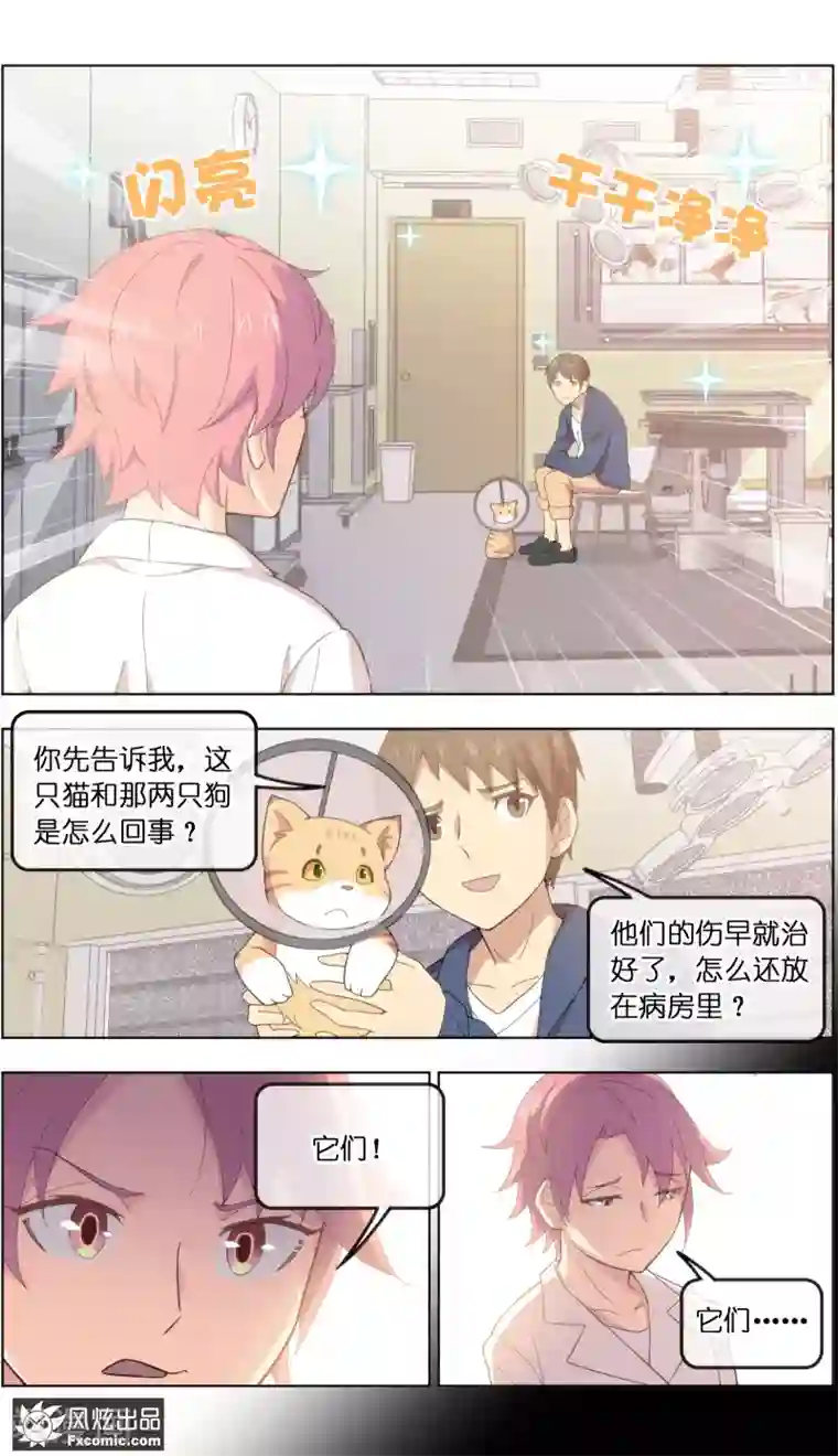 宠物天王第22话3 战争与合作