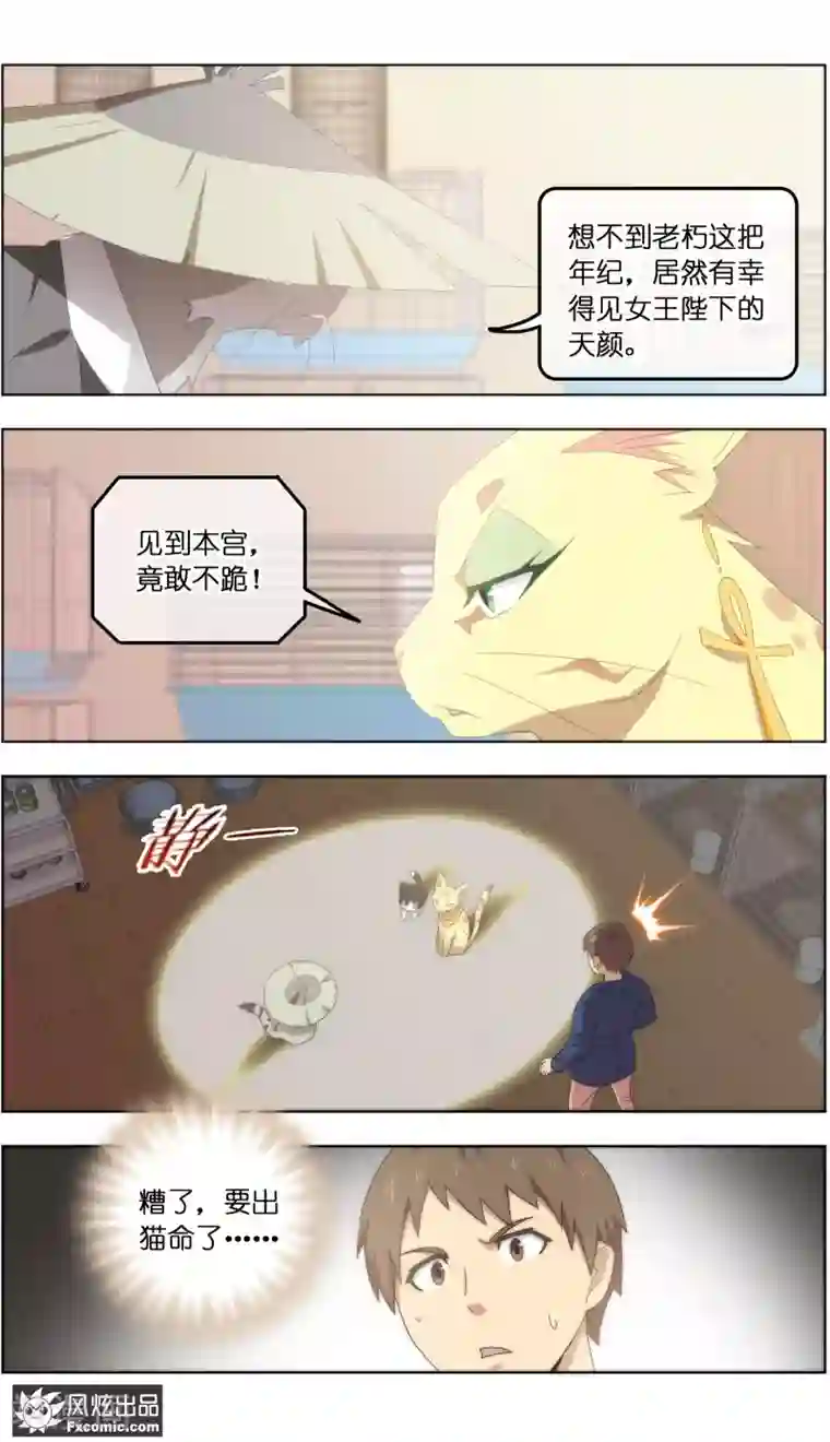 宠物天王第24话2 老茶