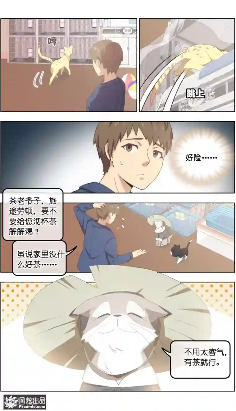 宠物天王第24话2 老茶