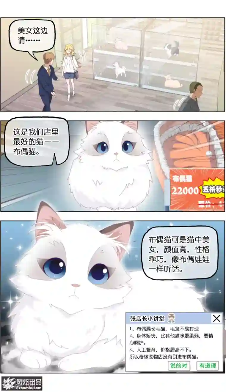 宠物天王第24话4 老茶