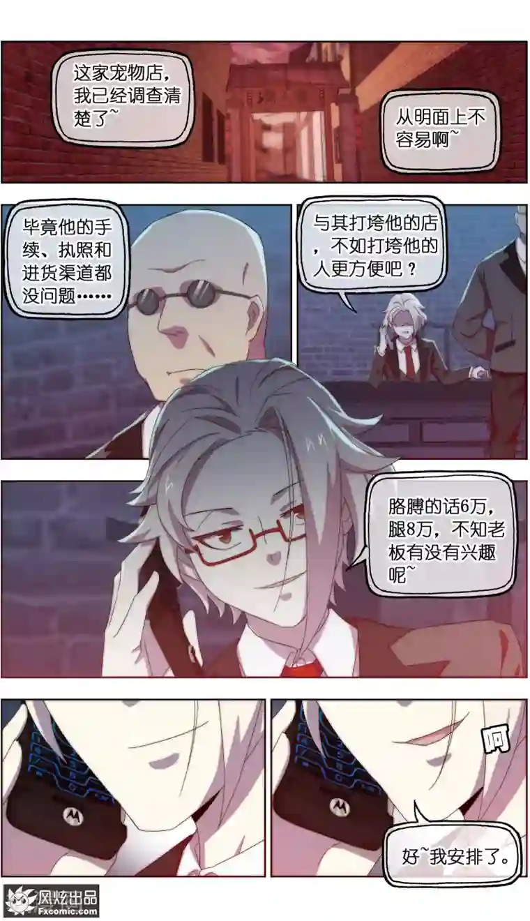 宠物天王第25话2 侠猫