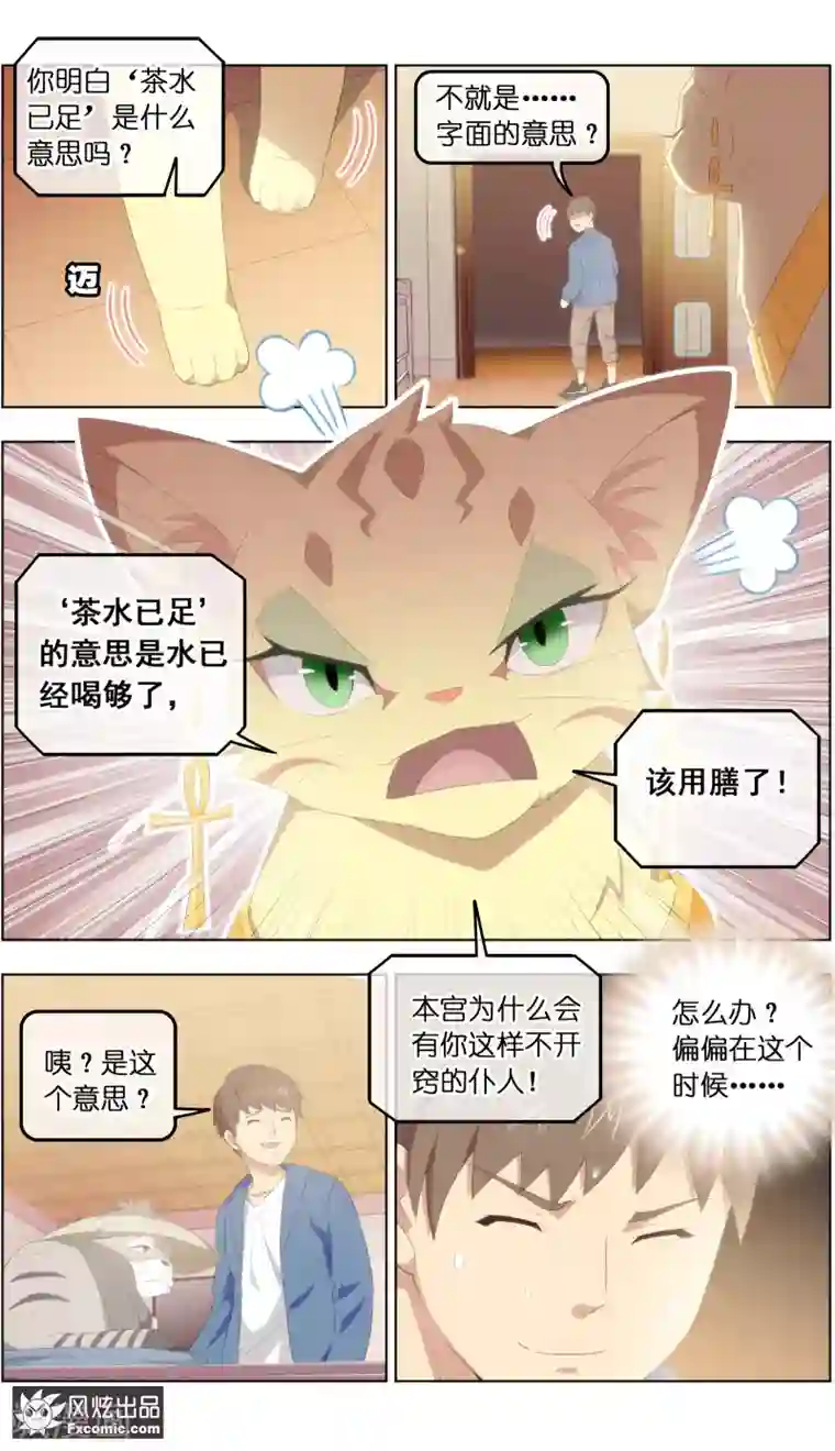 宠物天王第28话1 一波三折