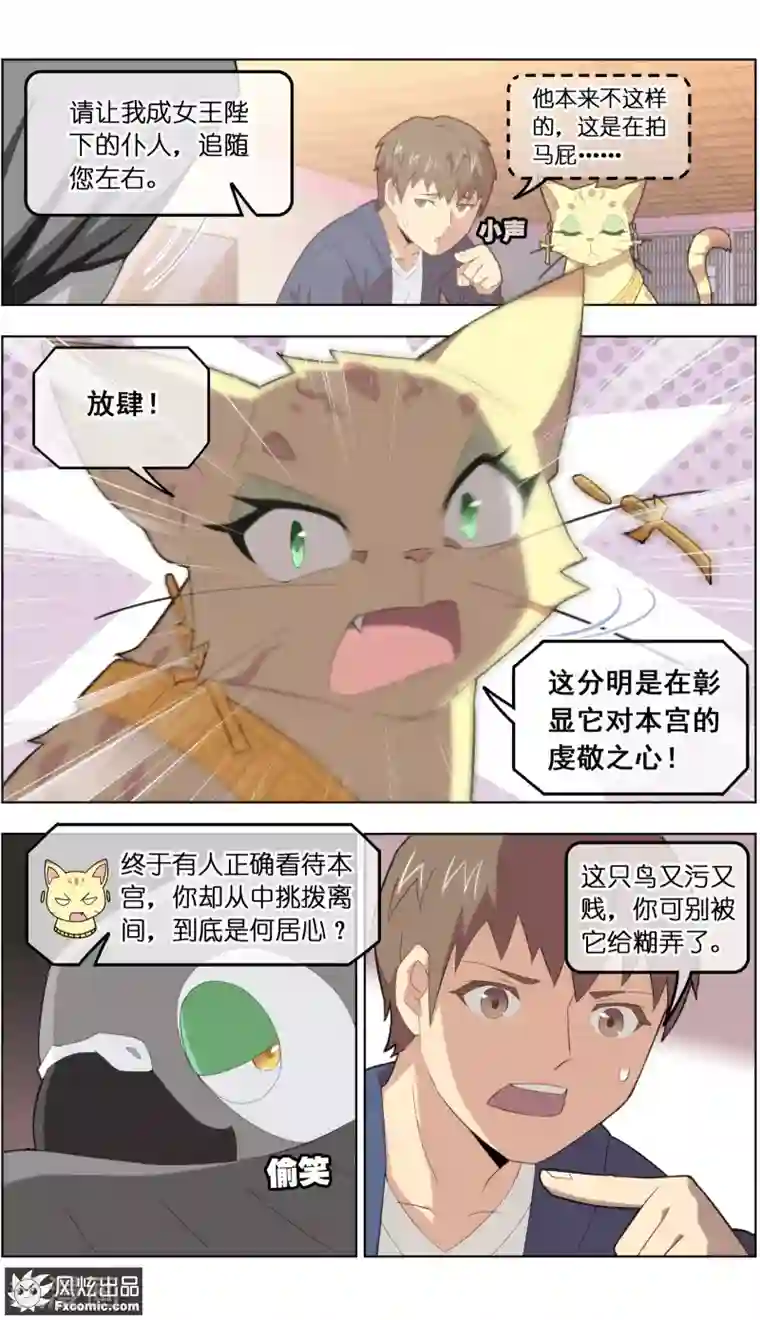 宠物天王第31话1 不正经的鸟