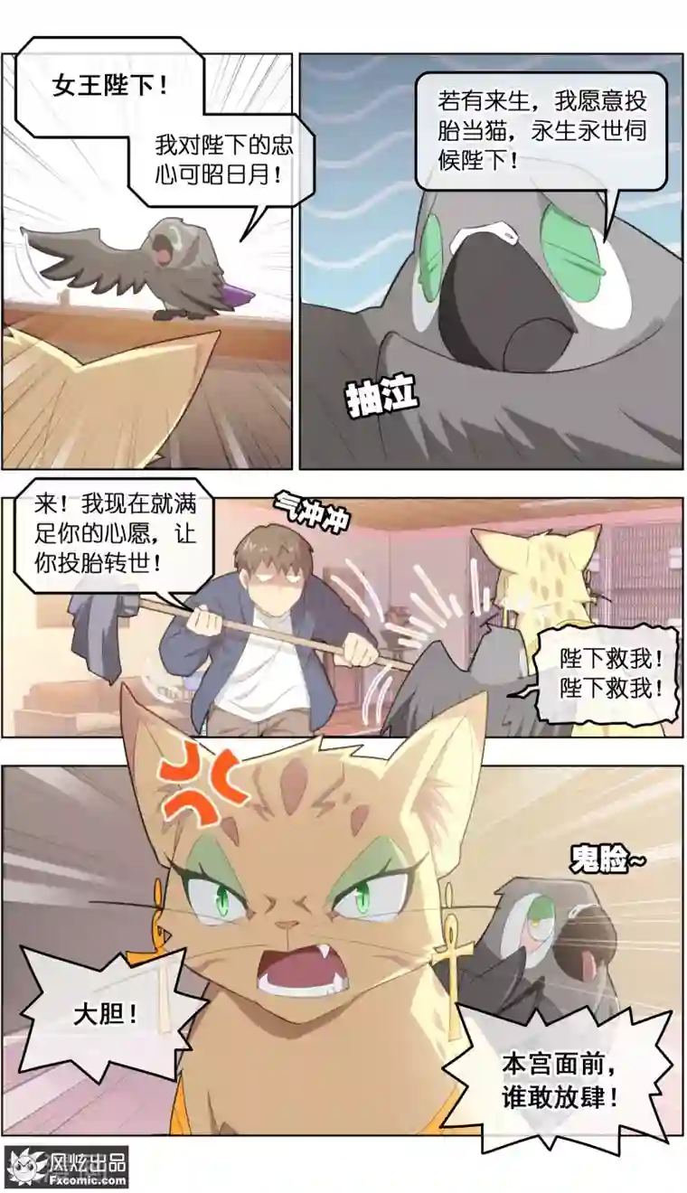 宠物天王第31话1 不正经的鸟