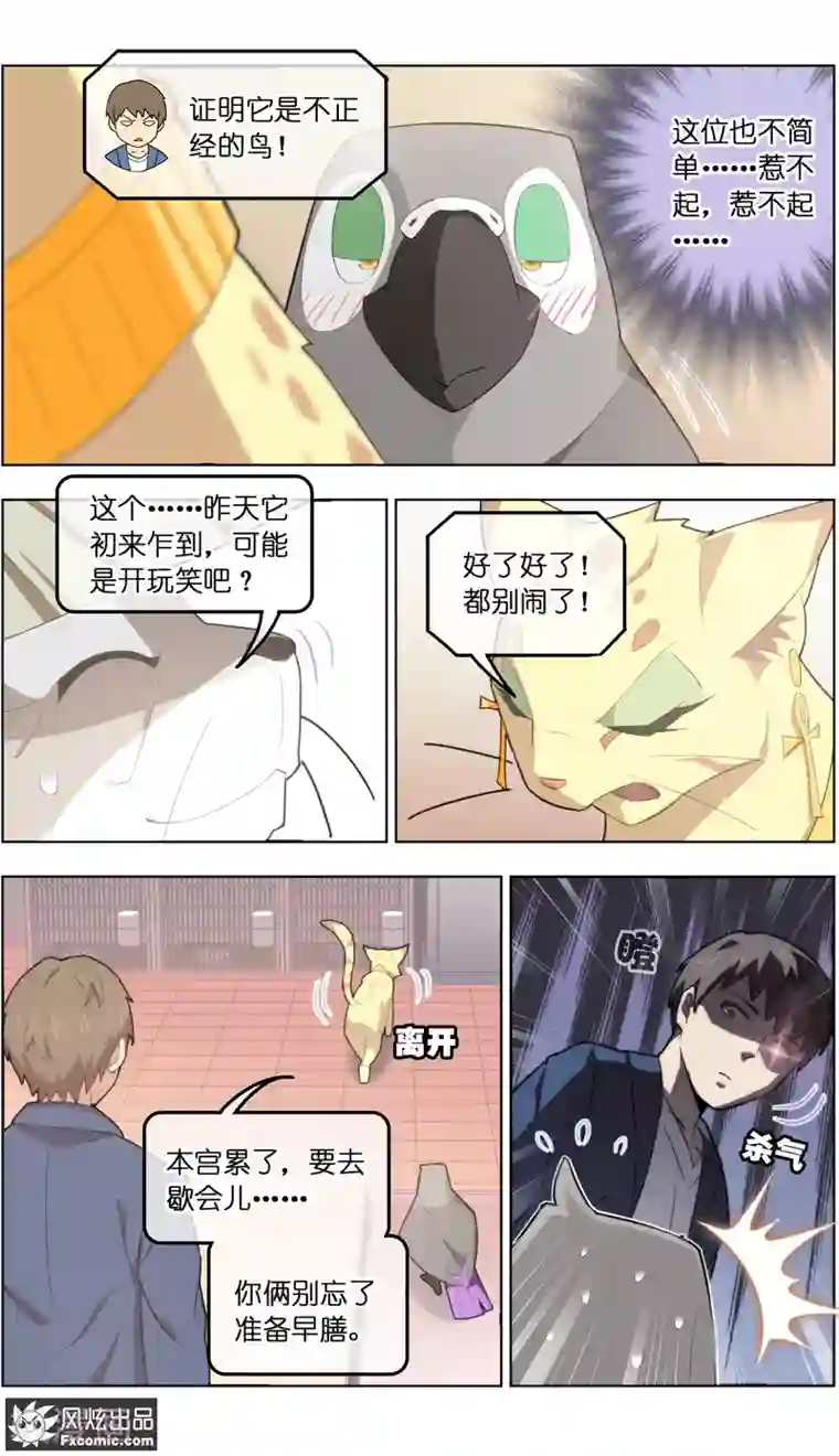宠物天王第31话1 不正经的鸟