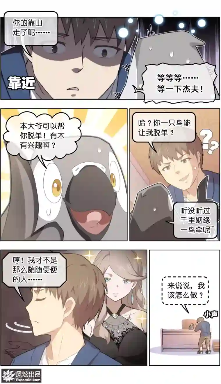 宠物天王第31话1 不正经的鸟