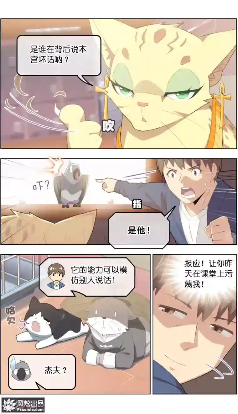 宠物天王第31话1 不正经的鸟