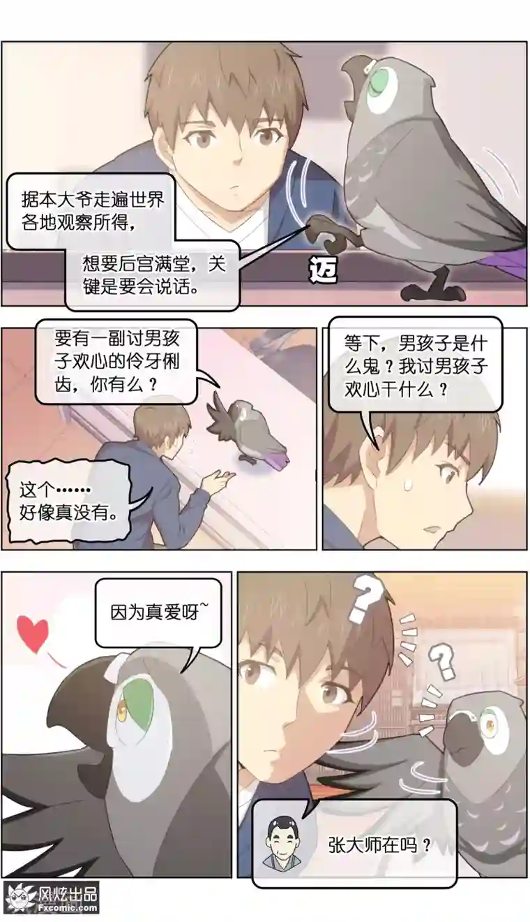 宠物天王第31话2 不正经的鸟