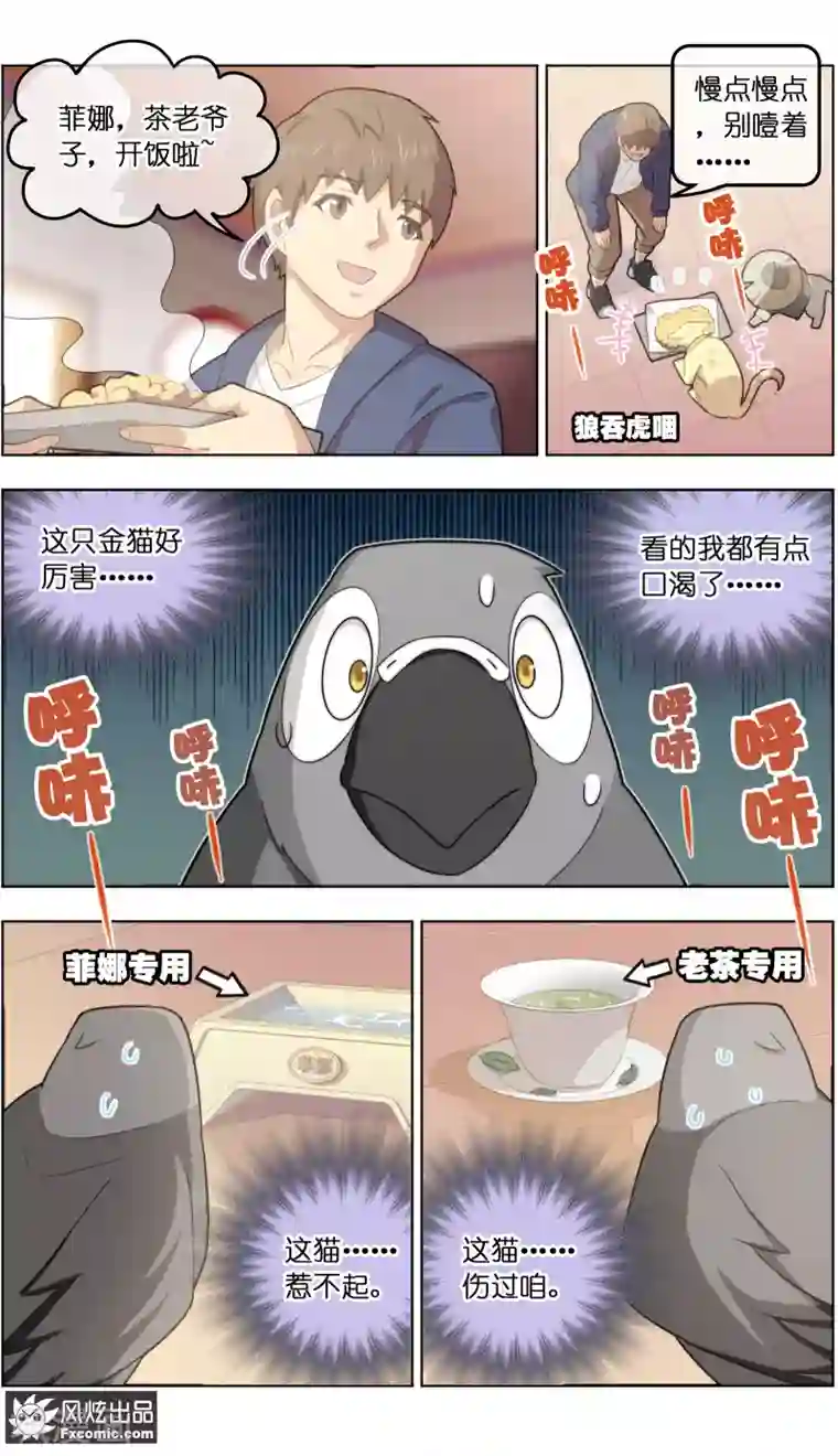 宠物天王第31话2 不正经的鸟