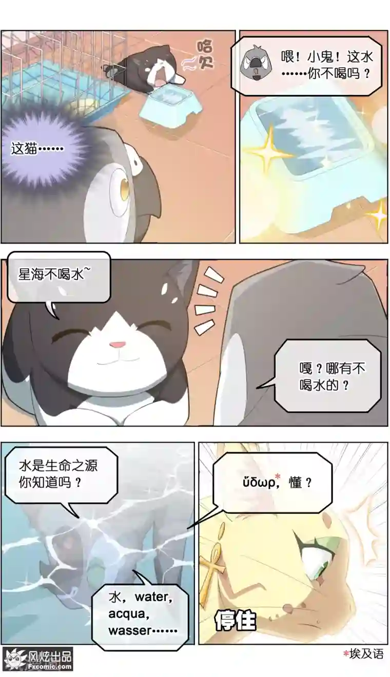 宠物天王第31话2 不正经的鸟