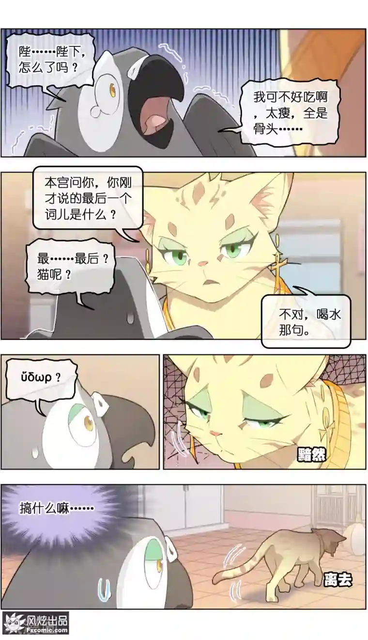 宠物天王第31话2 不正经的鸟