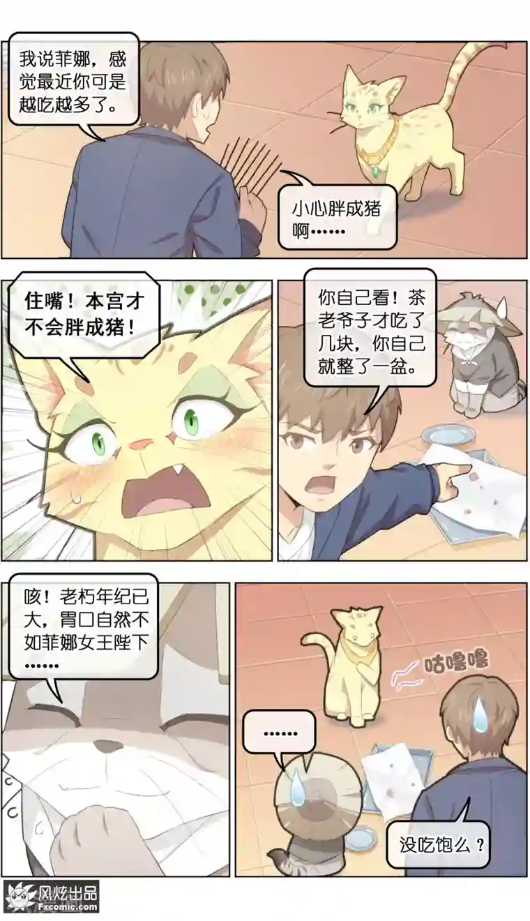 宠物天王第31话2 不正经的鸟