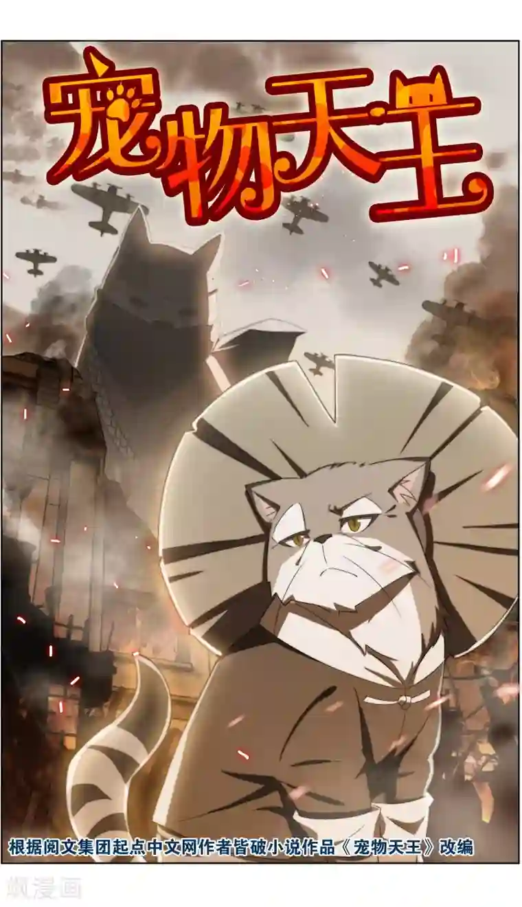 宠物天王第32话1 世纪之战