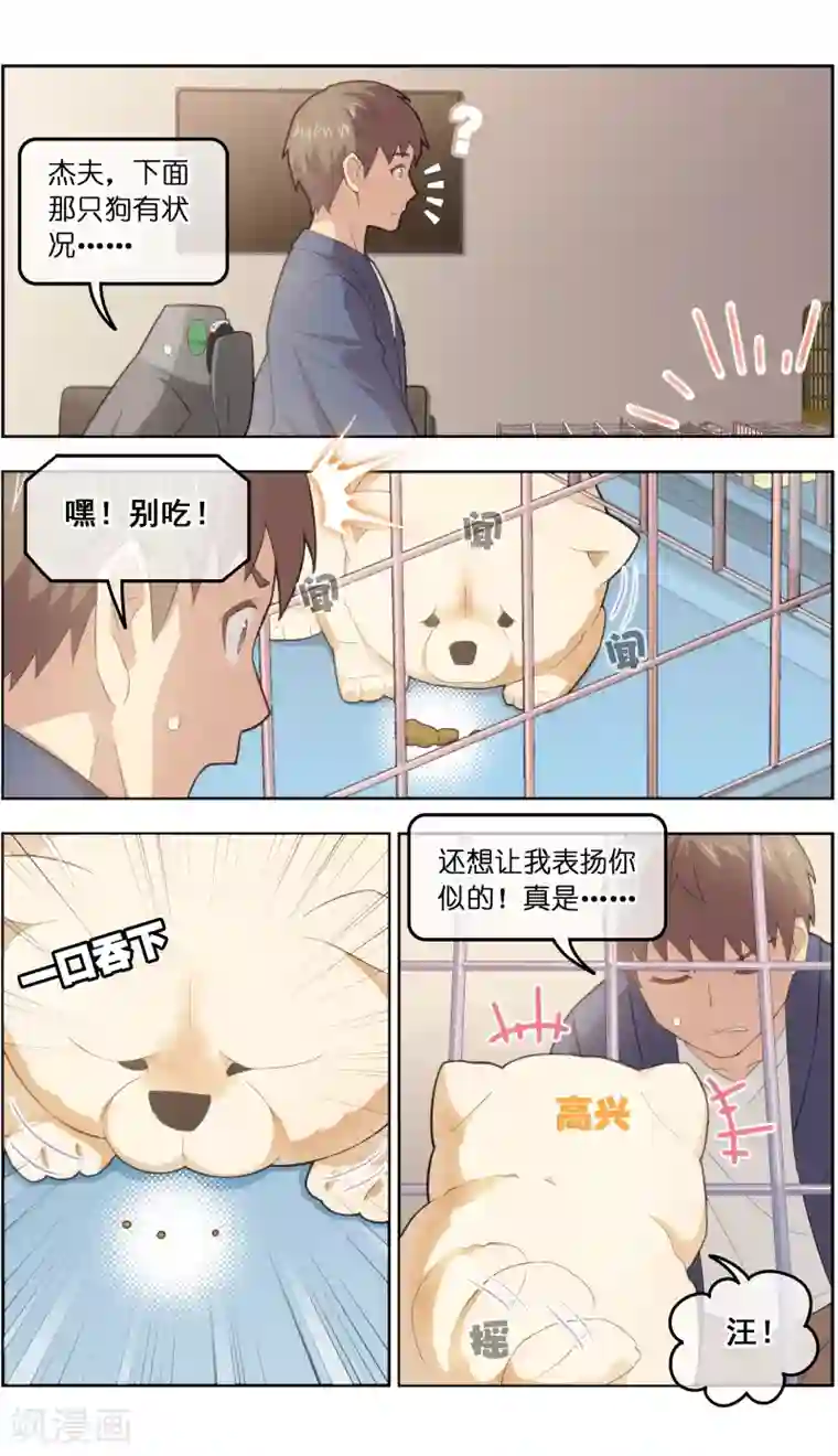 宠物天王第32话1 世纪之战