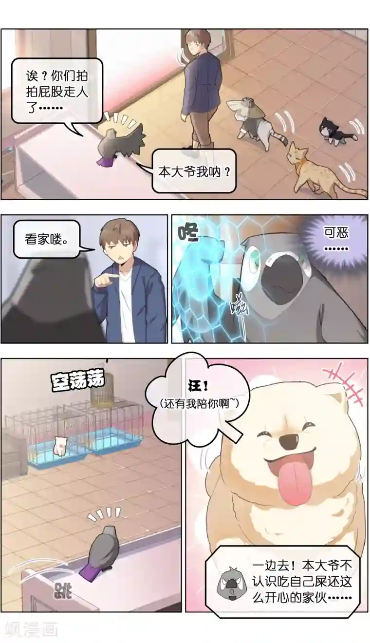 宠物天王第32话1 世纪之战