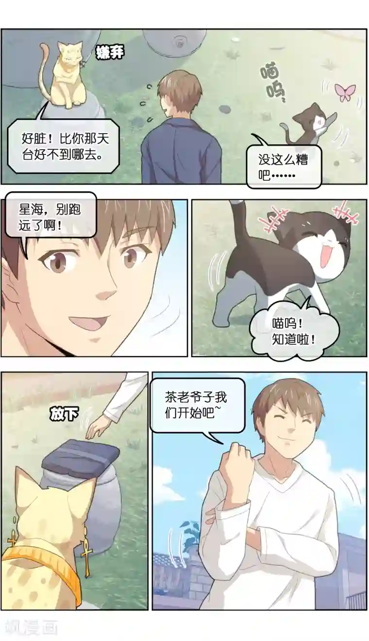 宠物天王第32话1 世纪之战