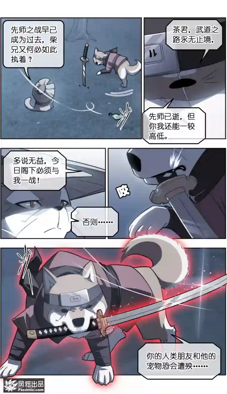 宠物天王第32话2 世纪之战