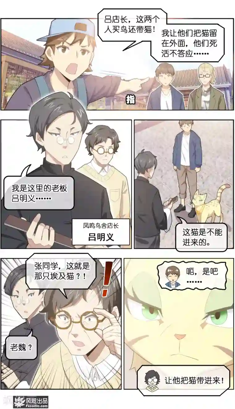 宠物天王第33话3 解语鸟