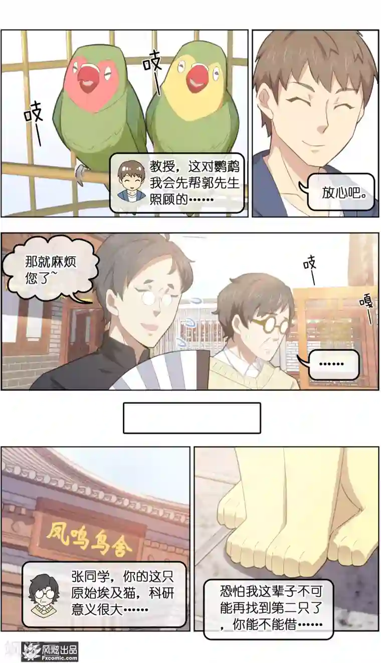 宠物天王第33话3 解语鸟