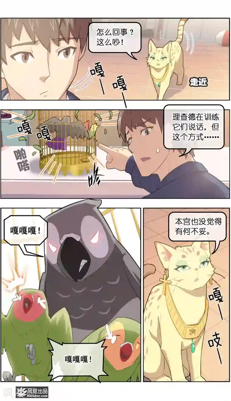 宠物天王第34话1 为谁解语