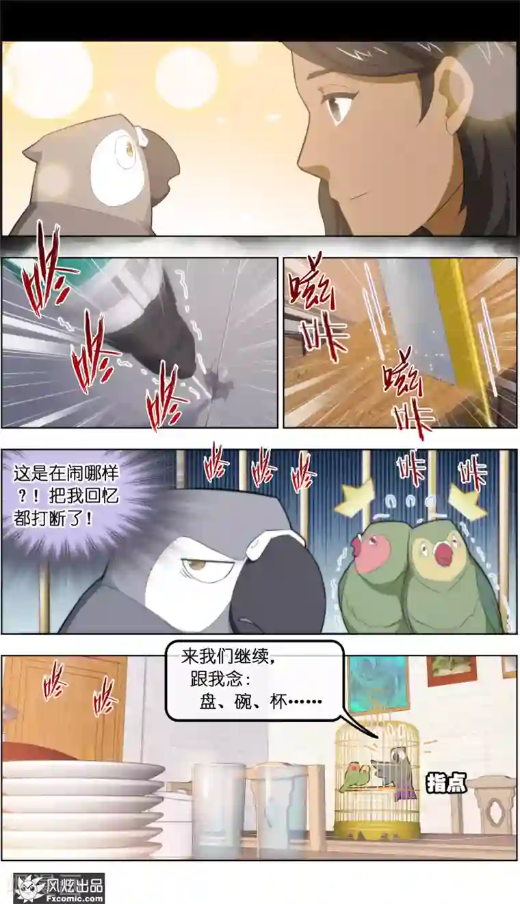 宠物天王第34话3 为谁解语