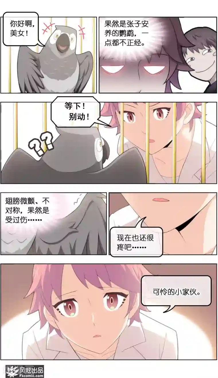 宠物天王第34话3 为谁解语