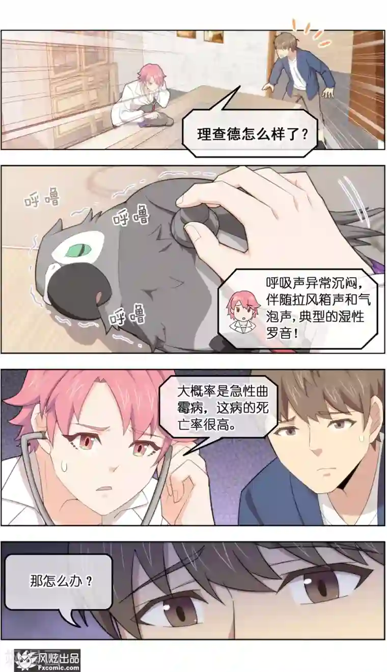 宠物天王第36话1 渡劫