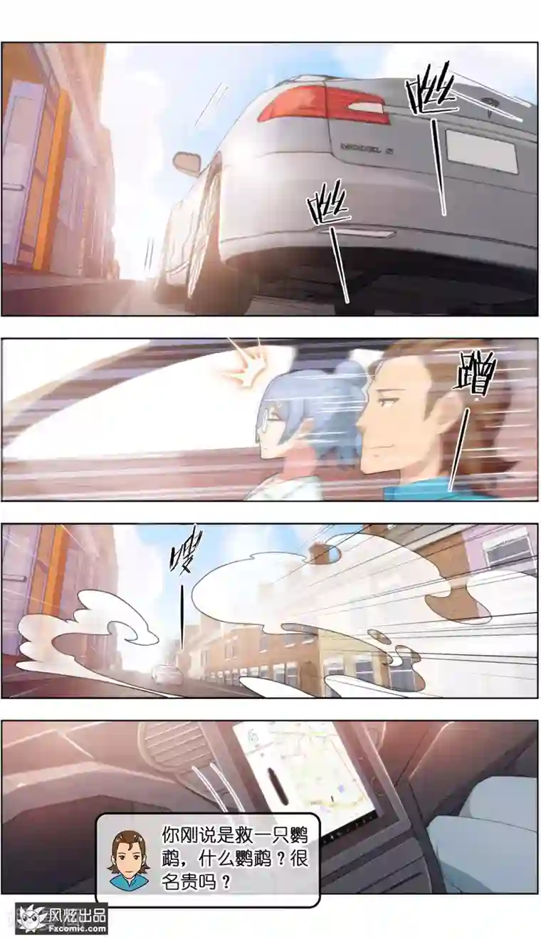 宠物天王第36话2 渡劫