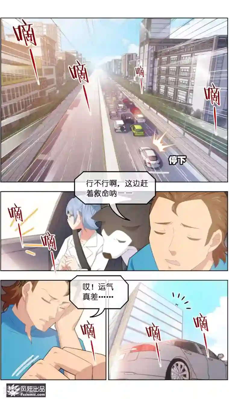 宠物天王第36话2 渡劫