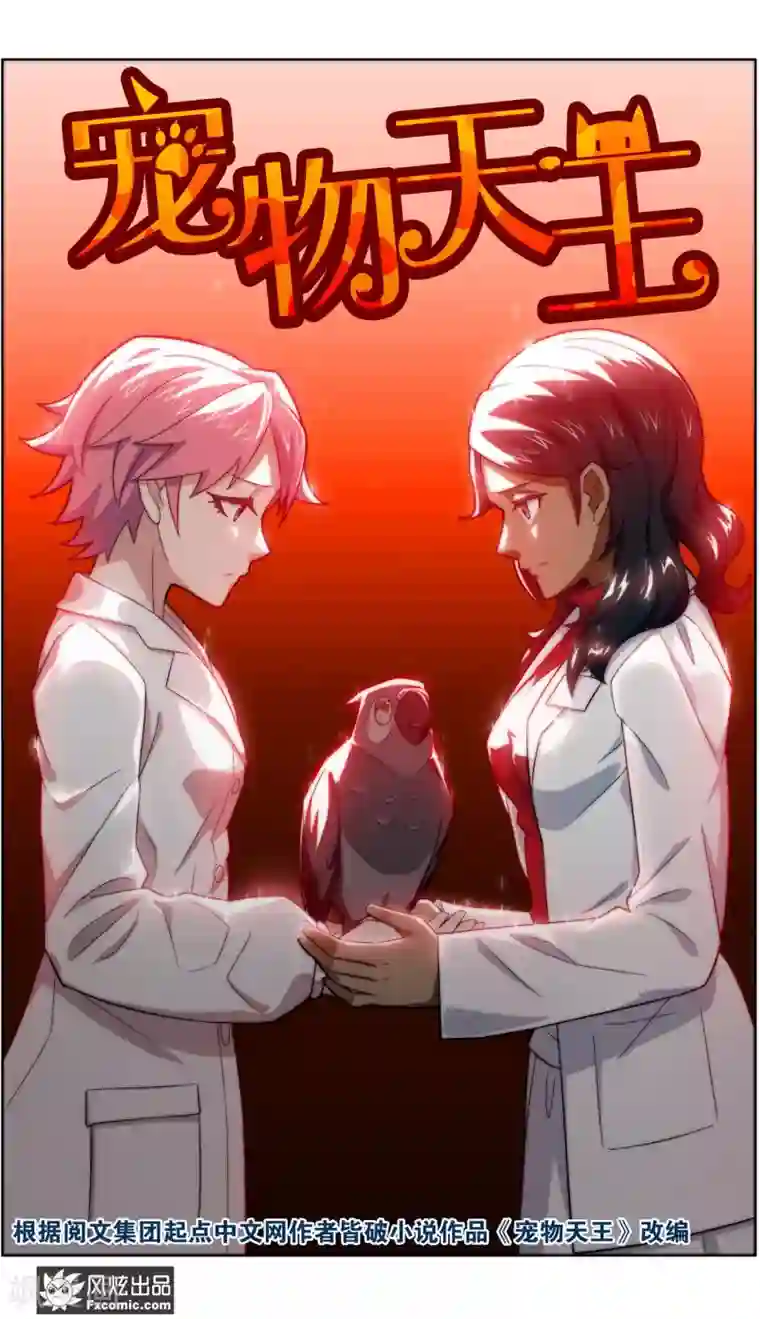 宠物天王第37话1 前世今生