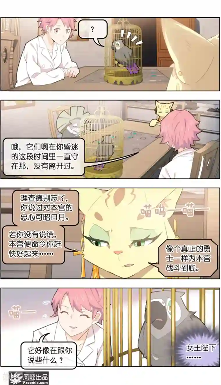 宠物天王第37话2 前世今生