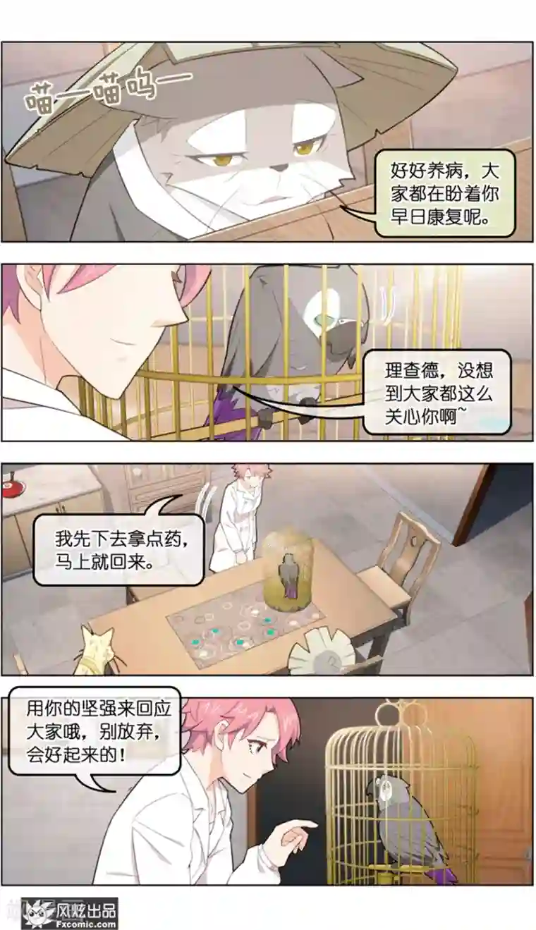 宠物天王第37话2 前世今生