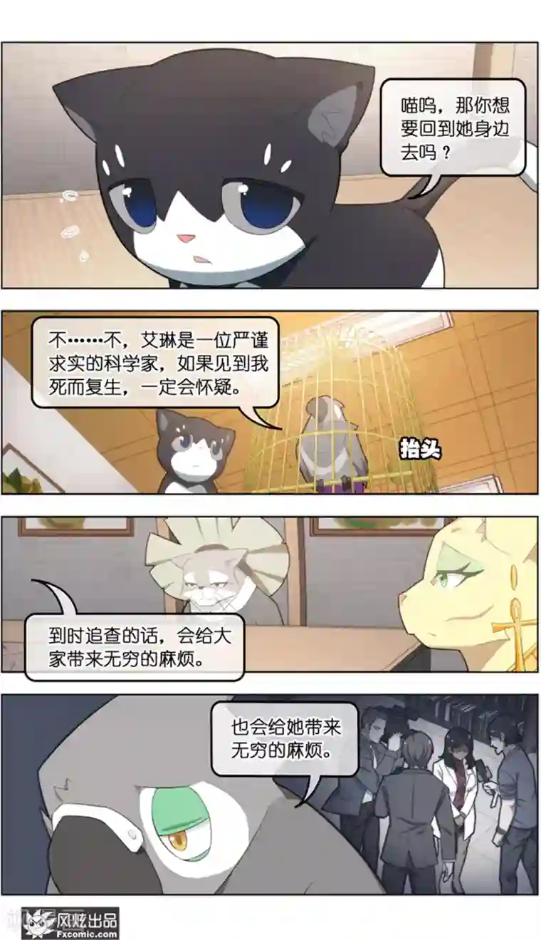 宠物天王第37话2 前世今生