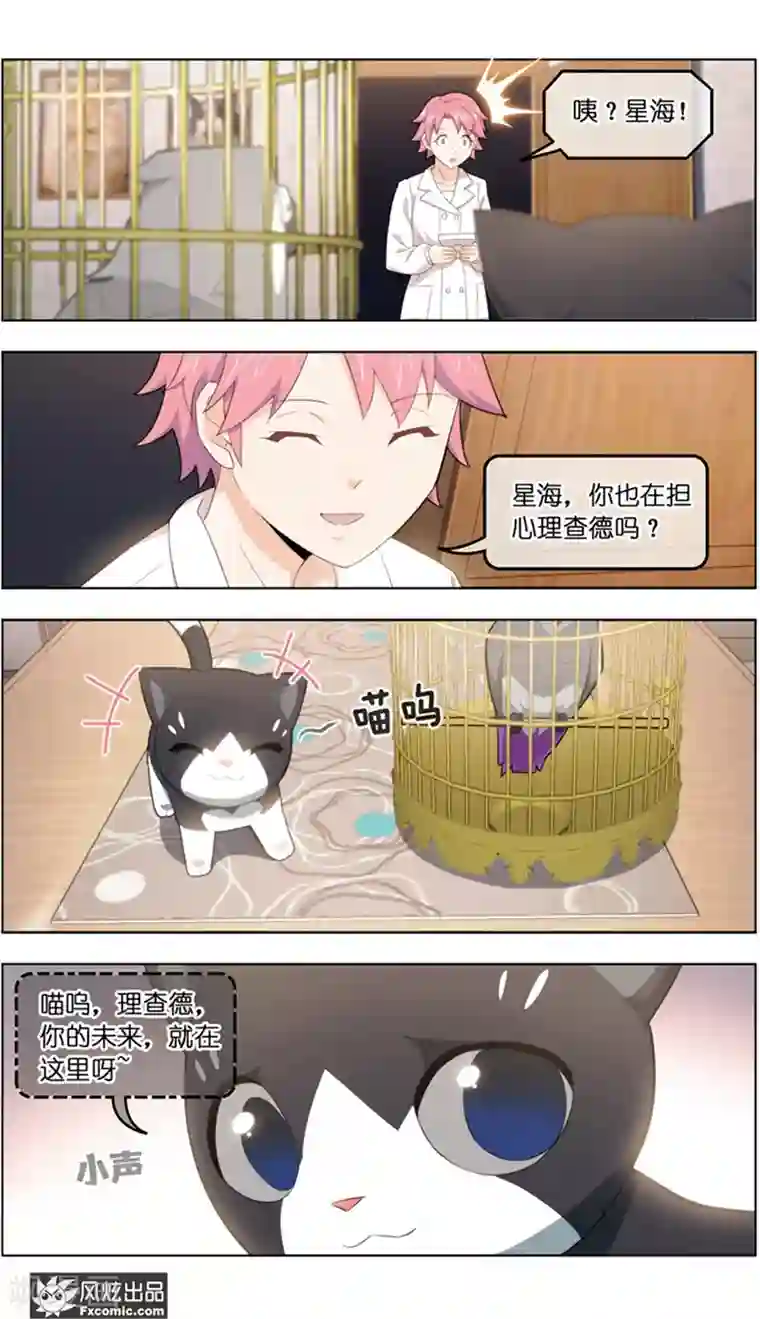 宠物天王第37话2 前世今生