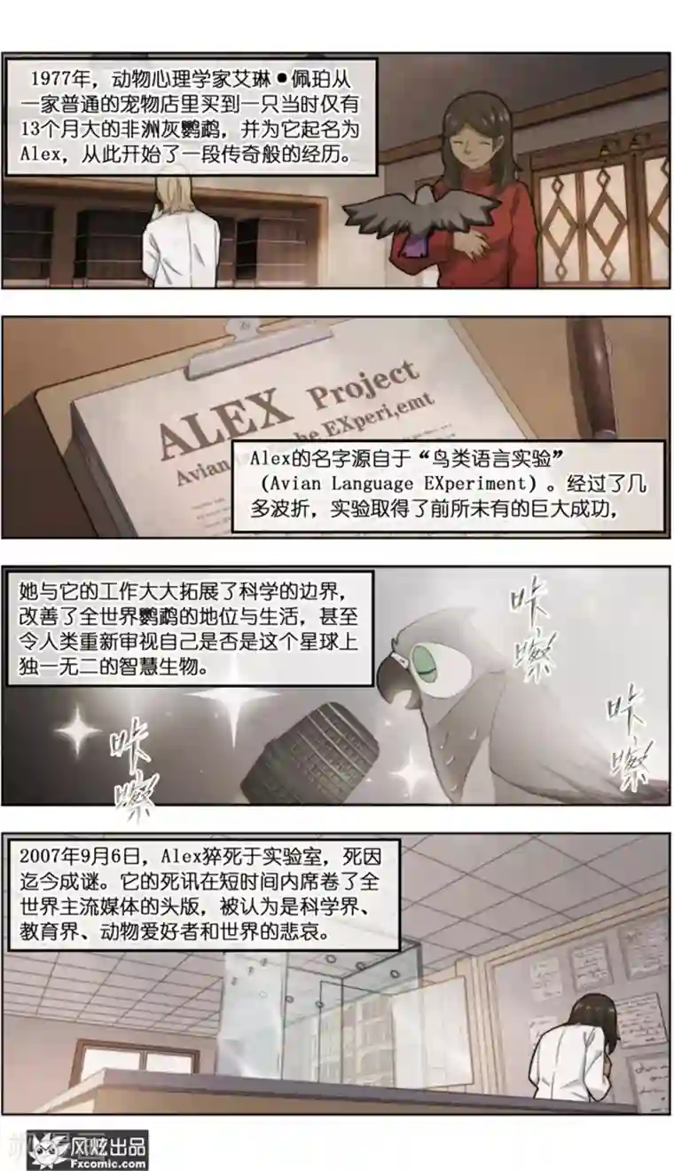 宠物天王第37话2 前世今生