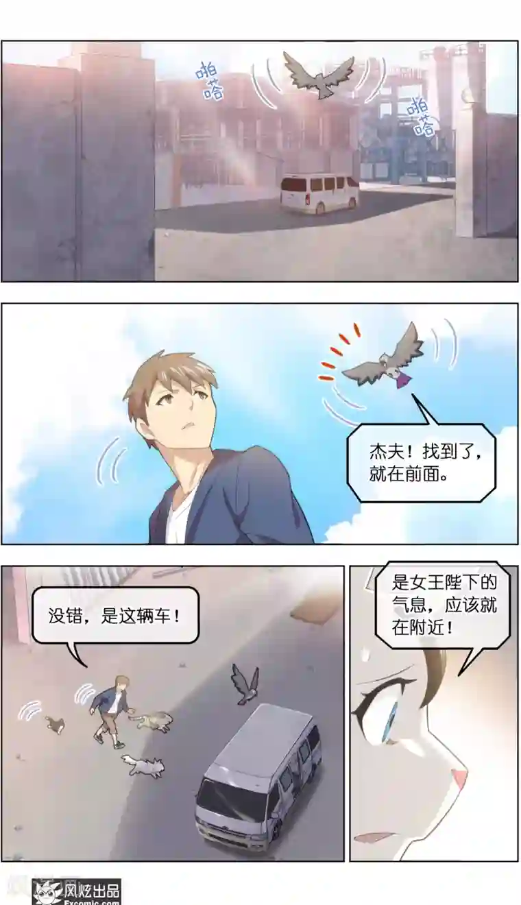 宠物天王第39话1 最终战