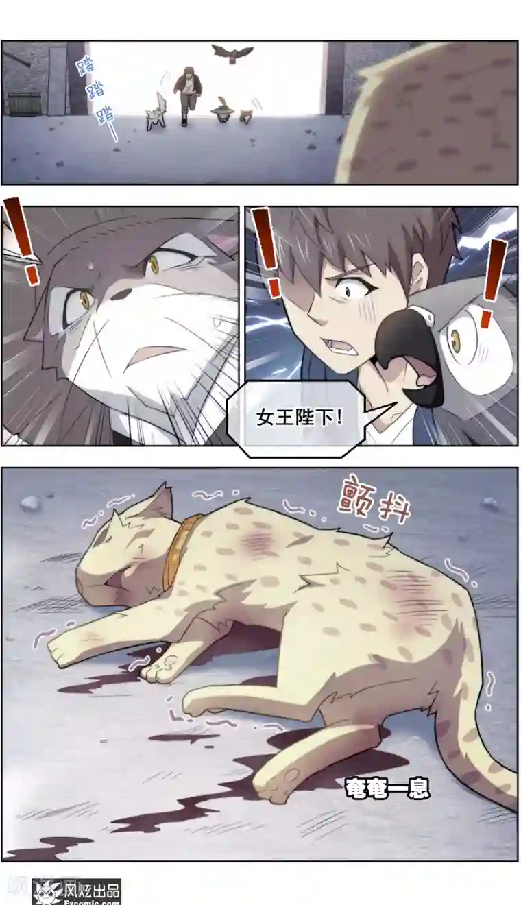 宠物天王第39话1 最终战