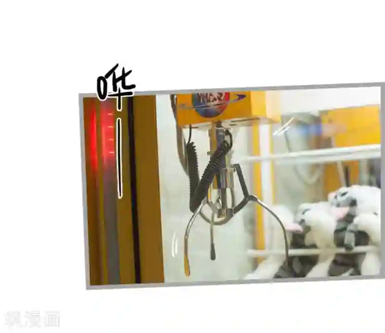 掰弯你没道理第12话