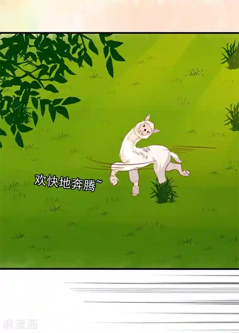 江少要不要嫁过来第43话 隐形毛绒控