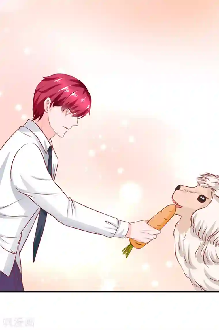 江少要不要嫁过来第43话 隐形毛绒控