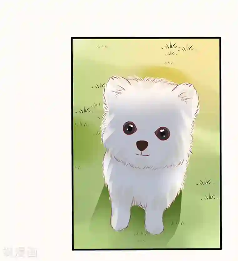 江少要不要嫁过来第44话 手把手教学