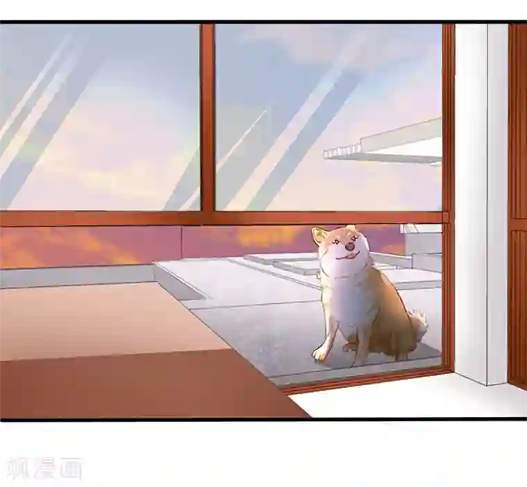 江少要不要嫁过来第44话 手把手教学