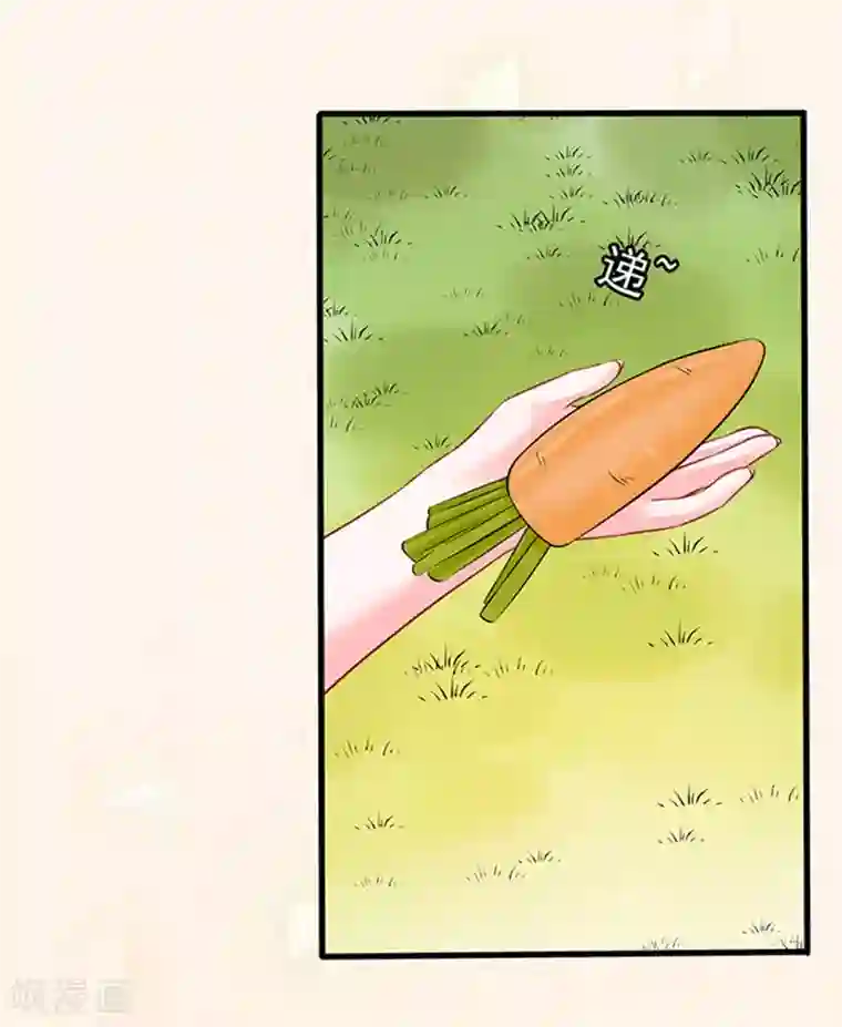 江少要不要嫁过来第44话 手把手教学