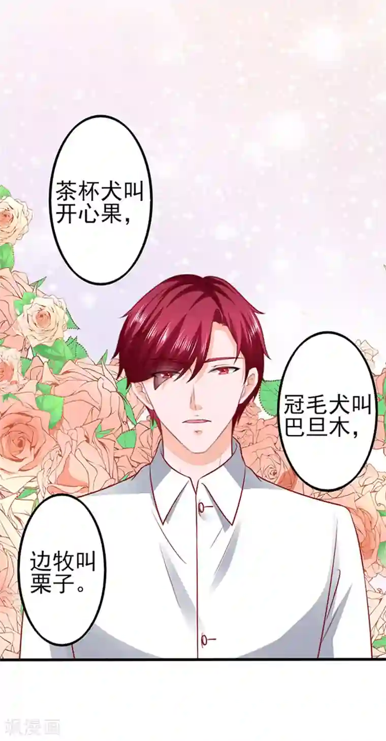 江少要不要嫁过来第44话 手把手教学