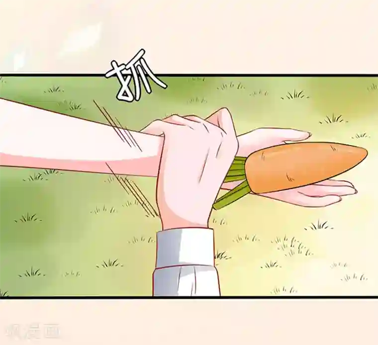 江少要不要嫁过来第44话 手把手教学