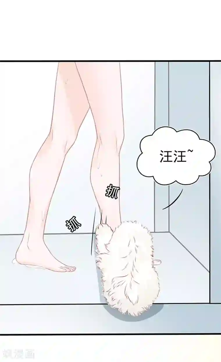 江少要不要嫁过来第46话 被包养