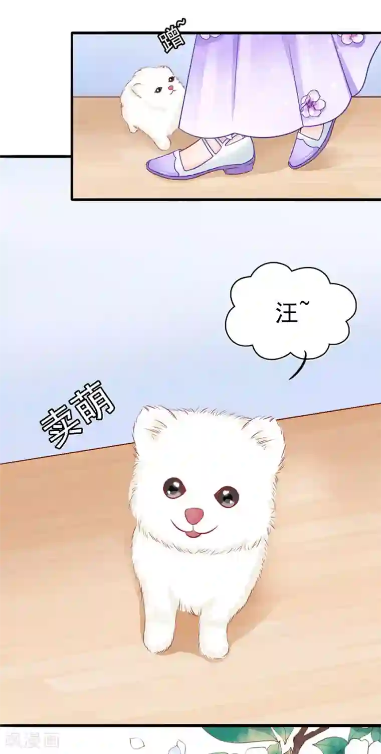 江少要不要嫁过来第48话 江大小姐